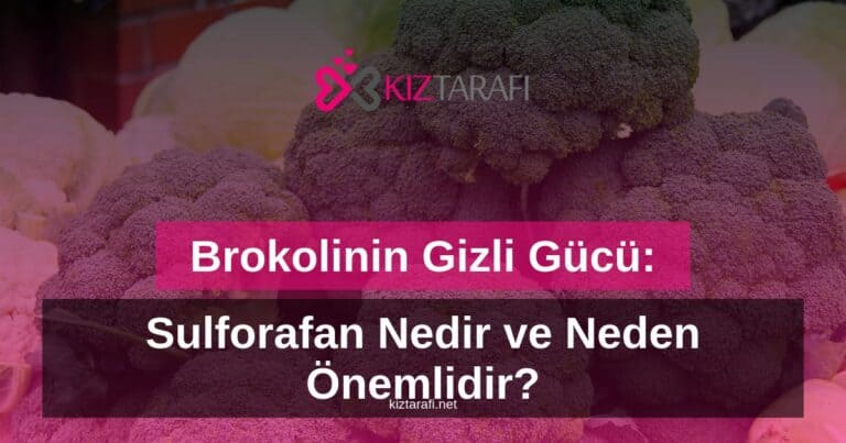 Brokolinin Gizli Gücü: Sulforafan Nedir Ve Neden Önemlidir?